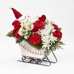 Dashing Through the Snow Bouquet from Parkway Florist in Pittsburgh PA